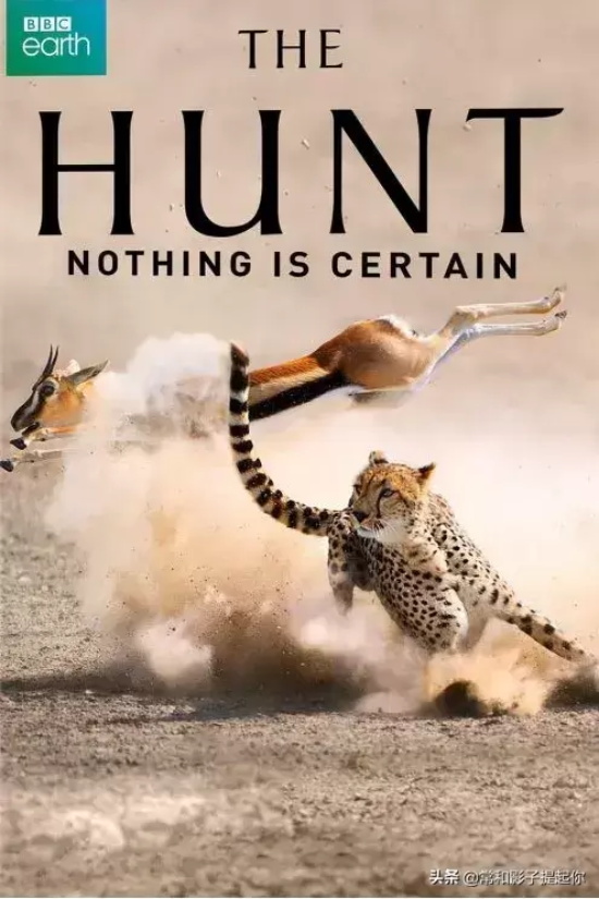 高评分的纪录片有哪些(6部接近满分的纪录片推荐)