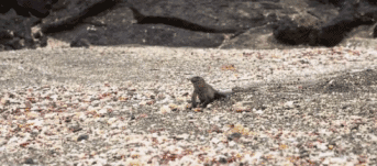 高评分的纪录片有哪些(6部接近满分的纪录片推荐)