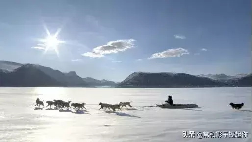 高评分的纪录片有哪些(6部接近满分的纪录片推荐)