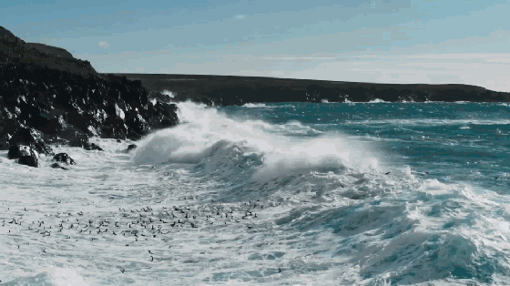 高评分的纪录片有哪些(6部接近满分的纪录片推荐)