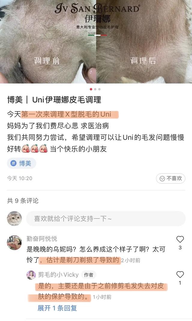 杨天真反对任何艺人公开恋情（杨天真否认签孙一宁）(39)
