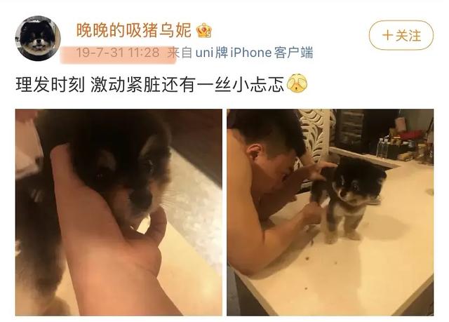 杨天真反对任何艺人公开恋情（杨天真否认签孙一宁）(40)