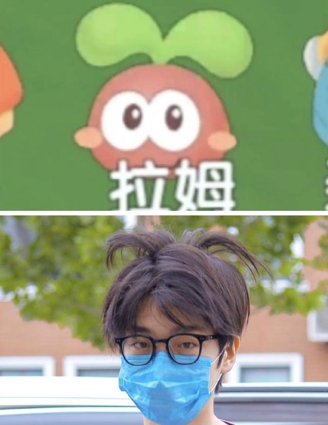 杨天真反对任何艺人公开恋情（杨天真否认签孙一宁）(64)