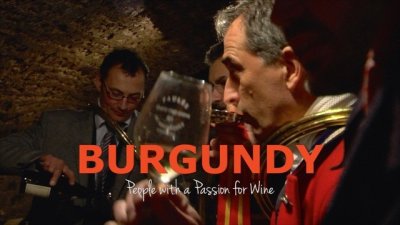 时间的印记：勃艮第葡萄酒发展史