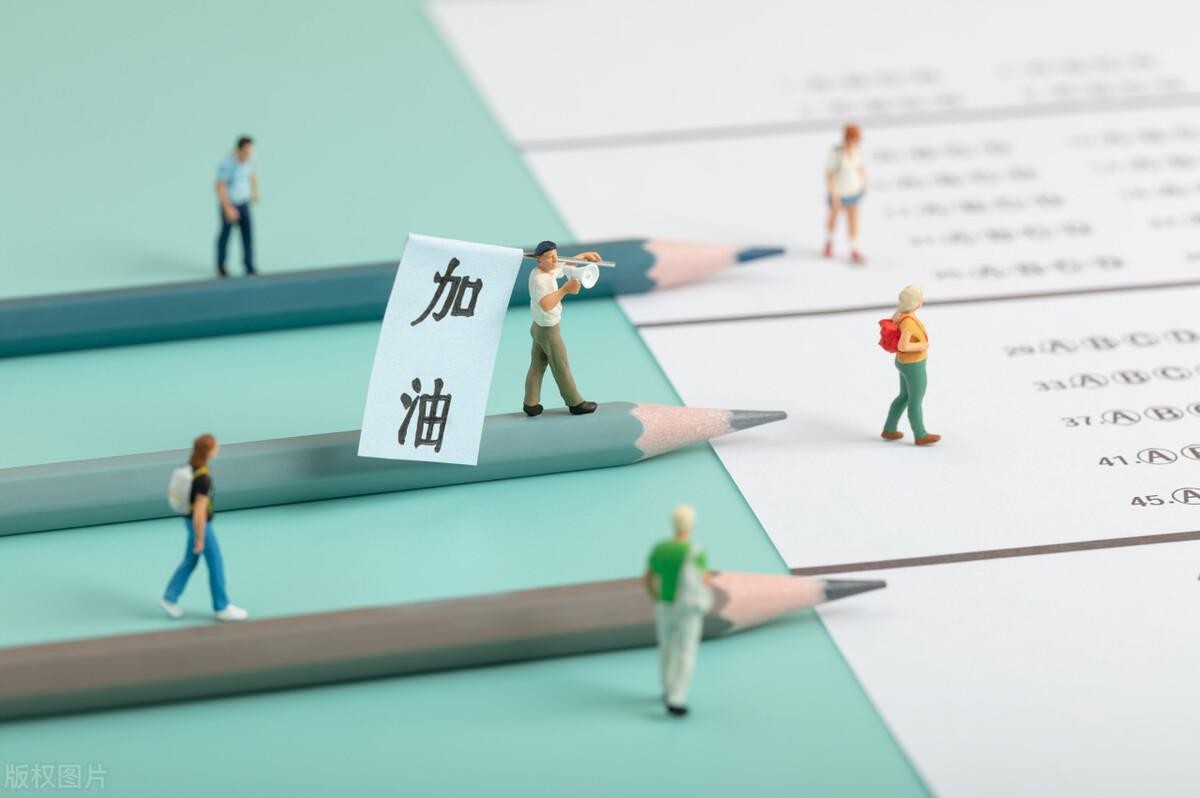 是什么让白鹿在娱乐圈脱颖而出