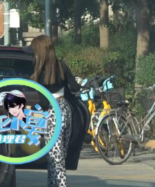 释小龙年轻美照(释小龙老婆带女儿出游被拍)(5)