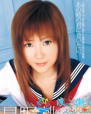 星野桃人物海报