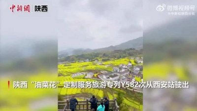 ​坐着高铁去撸串！这些专列，惹全网羡慕