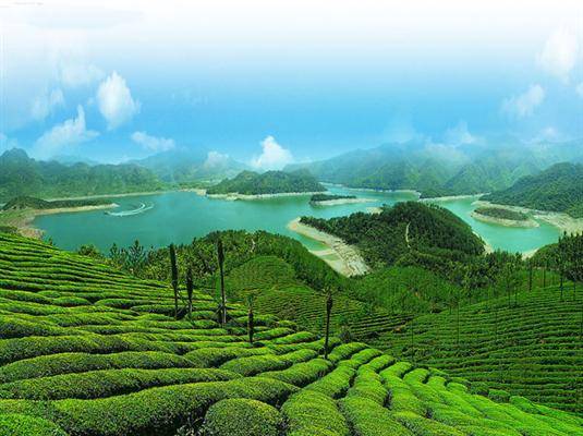 2、茶山生态公园