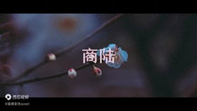 ​那些好听又美的中药名可以用做名字系列