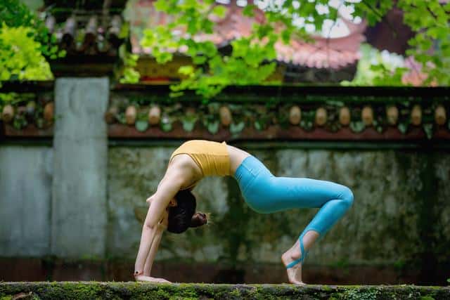 母其弥雅个人资料(简介,身高,年龄)(母其弥雅个人资料简介)
