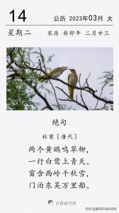 ​杜甫《绝句》：两个黄鹂鸣翠柳，一行白鹭上青天