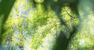 ​麦当劳失去“巨无霸”；AI三巨头遭反垄断调查