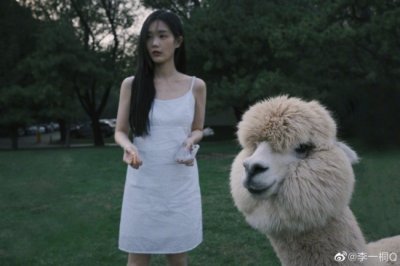 ​李一桐晒与羊驼合拍照 穿吊带白裙笑容灿烂