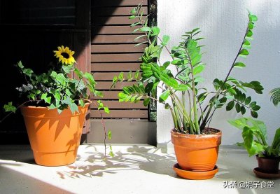 ​电饭煲版懒人焖饭，做法简单，好吃营养，学会不点外卖了