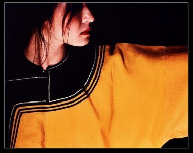 ​胡因梦：《再见李熬》