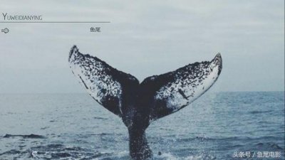 ​第13届白玉兰奖提名名单（入围第24届白玉兰奖）