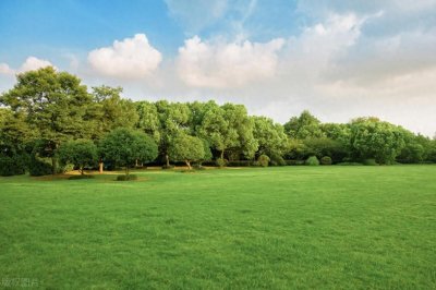 高考「成语填空必会100个成语」含近三年真题