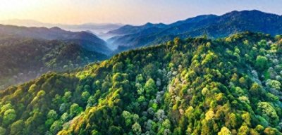 ​福建：扭住“八大工程”“三多”改革 现代林业再发力