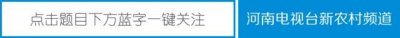 ​阳春四月 《这里是河南》带您畅游孤柏渡
