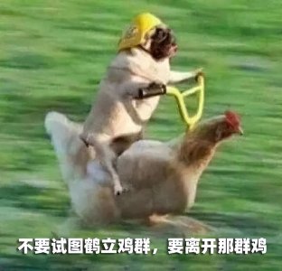 ​盘点全网笑到肚子疼的搞笑图片，笑死人不偿命~(第九期)