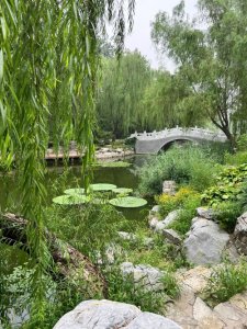 ​小巧、精致的～柳荫公园