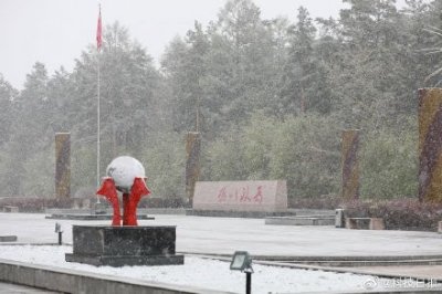 ​黑龙江漠河：五月飞雪，大雪压青松