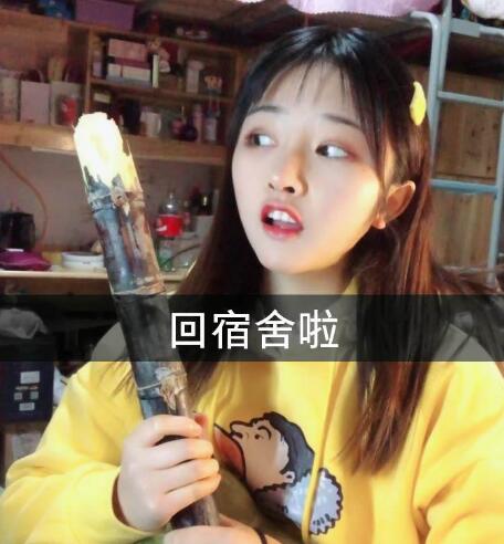 次惑小仙女为什么会火