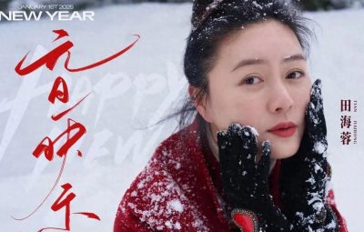 ​＂最悲催＂女星田海蓉 : 爹瘫妈亡 , 嫁豪门16年后 , 丈夫也在狱中离世