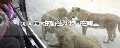 ​河南最大的野生动物园在哪里