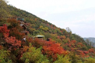 ​江苏沛县检察院李永建作品《秋闲》