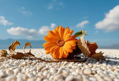 ​一个戒掉了烟酒的人，其实最“可怕”，原因在于这些