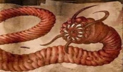 ​蒙古戈壁死亡之虫果然存留吗，本地住户谈之色变_疑似外星生物