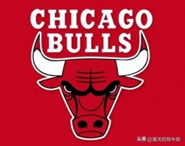 NBA30支球队历史之芝加哥公牛队