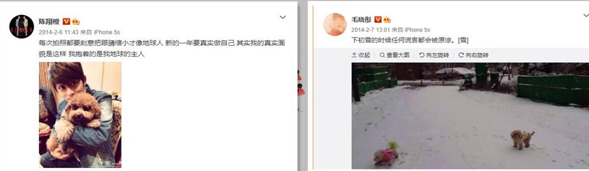 毛晓彤和陈翔几时分手(毛晓彤与陈翔事件梳理)(8)