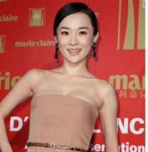 ​霍思燕个人资料，黄晓明资料