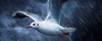 ​梅雨季节饮食注意事项 梅雨季节食谱