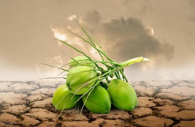 中国历史上的饥荒和全球历史上的饥荒离我不遥远