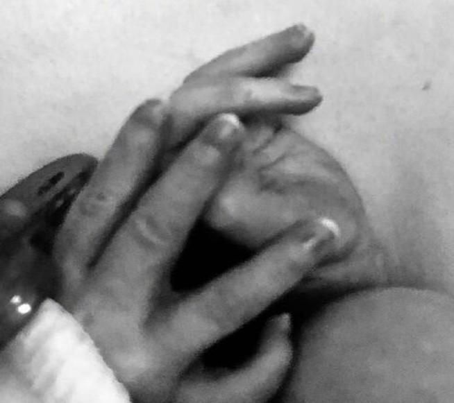 撒贝宁妻子的个人资料 婚后为撒贝宁生下龙凤胎孩子