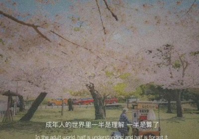 ​金星简历个人资料（毒舌金星的传奇人生）