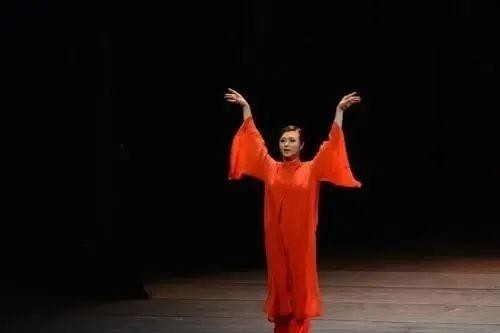 金星简历个人资料(毒舌金星的传奇人生)