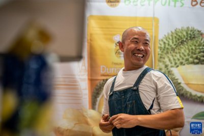 ​泰国榴莲干的南博会之旅