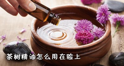 ​茶树精油怎么用在脸上 茶树精油的作用和功效