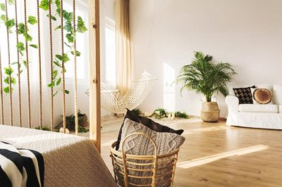 ​三叶草有毒吗