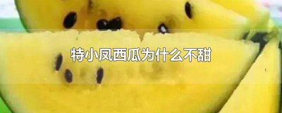 ​特小凤西瓜含糖量高吗 特小凤西瓜和西瓜哪个好吃