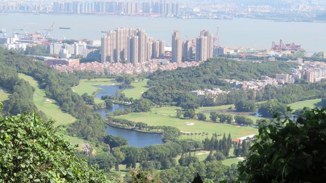 广州南沙18涌湿地公园(万亩的天然大氧巴黄山鲁森林公园)(13)