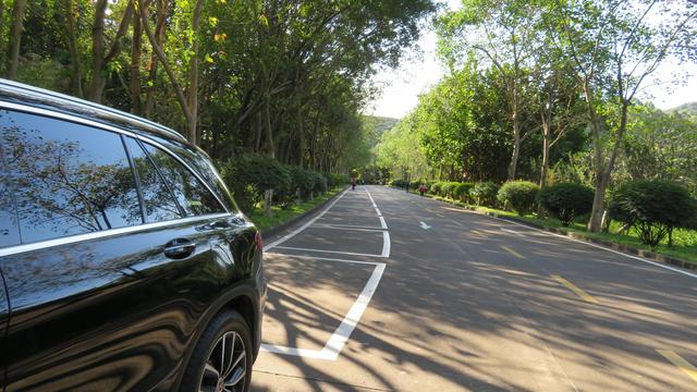 广州南沙18涌湿地公园(万亩的天然大氧巴黄山鲁森林公园)(3)