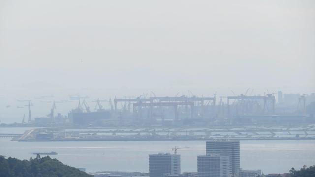 广州南沙18涌湿地公园(万亩的天然大氧巴黄山鲁森林公园)(25)