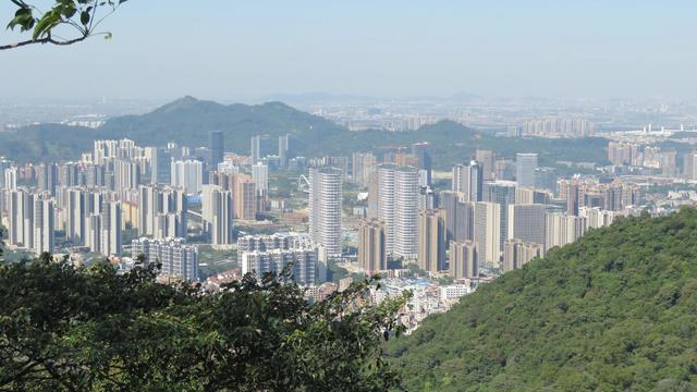 广州南沙18涌湿地公园(万亩的天然大氧巴黄山鲁森林公园)(18)