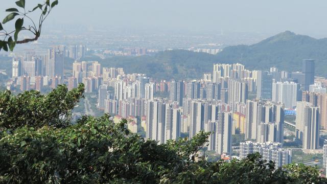 广州南沙18涌湿地公园(万亩的天然大氧巴黄山鲁森林公园)(19)